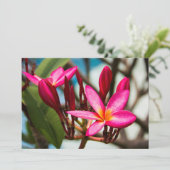 Invitation Fond de fleurs exotiques floraison de plumeria (Debout devant)