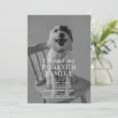 Invitation Forever Family Pet Adoption Photo (Debout devant)