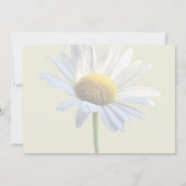 Invitation Fournitures de mariage Daisy Shadow et Light (Dos)