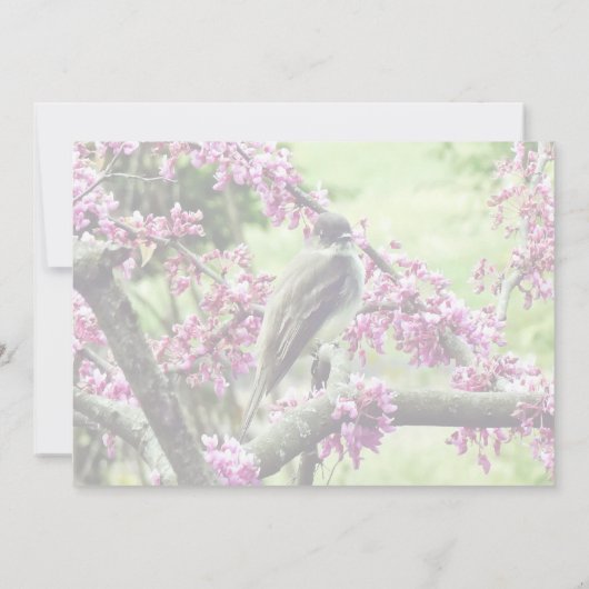 Invitation Fournitures de mariage Phoebe dans un arbre Redbud (Dos)