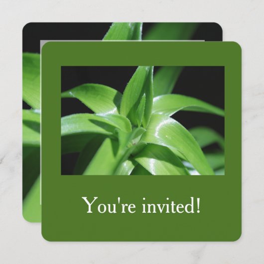 Invitation Fraîchement feuille de lys vert de printemps (Devant / Derrière)