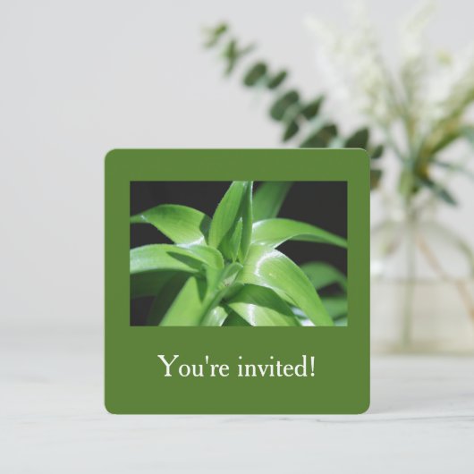 Invitation Fraîchement feuille de lys vert de printemps (Debout devant)