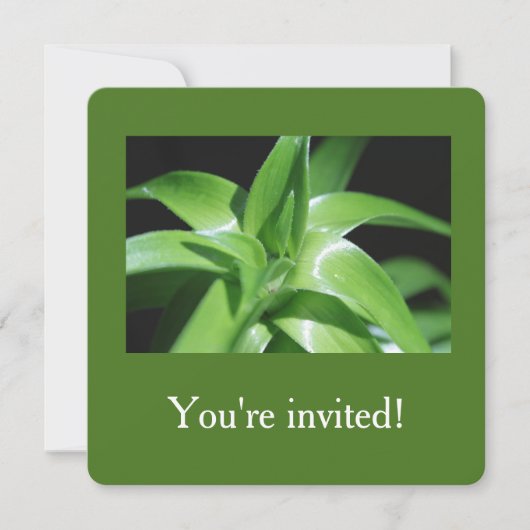 Invitation Fraîchement feuille de lys vert de printemps (Devant)