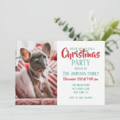 Invitation French Bulldog (Debout devant)