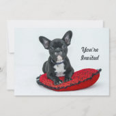 Invitation French Bulldog Black Coussin photo Anniversaire (Devant)