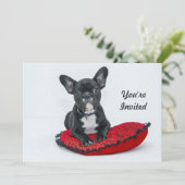 Invitation French Bulldog Black Coussin photo Anniversaire (Debout devant)