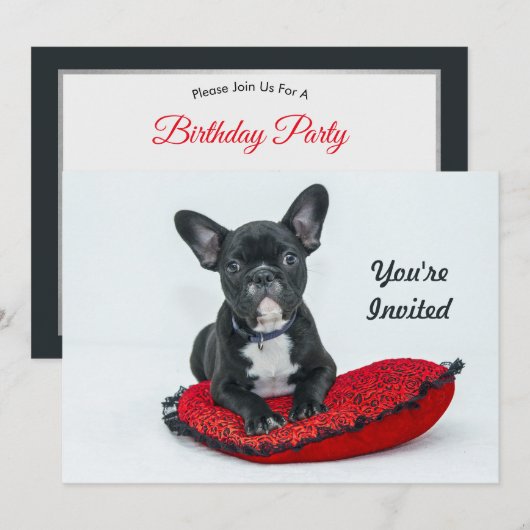 Invitation French Bulldog Black Coussin photo Anniversaire (Devant / Derrière)