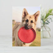 Invitation Frisbee (Debout devant)