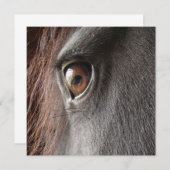 Invitation frisonne d'oeil de cheval (Devant / Derrière)