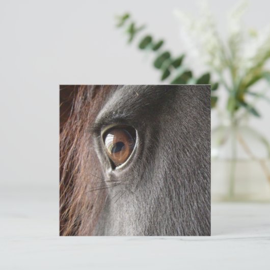 Invitation frisonne d'oeil de cheval (Debout devant)