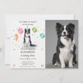 Invitation Frontière Collie Chien Chien Chien Chien Chien Chi (Devant)