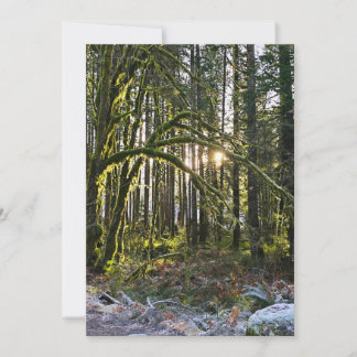 Invitation frosty sunlite moss
