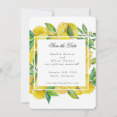 Invitation Fruit aux agrumes | Mariage élégant Enregistrer la (Dos)