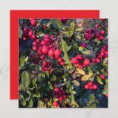 Invitation Fruit d'automne (Devant / Derrière)