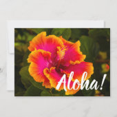 Invitation Fuchsia hawaïenne et Hibiscus orange de Kauai (Devant)