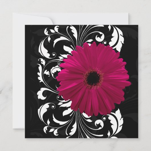 Invitation Fuchsia Scroll Gerbera Daisy avec noir et blanc (Dos)