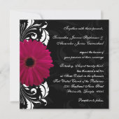 Invitation Fuchsia Scroll Gerbera Daisy avec noir et blanc (Devant)