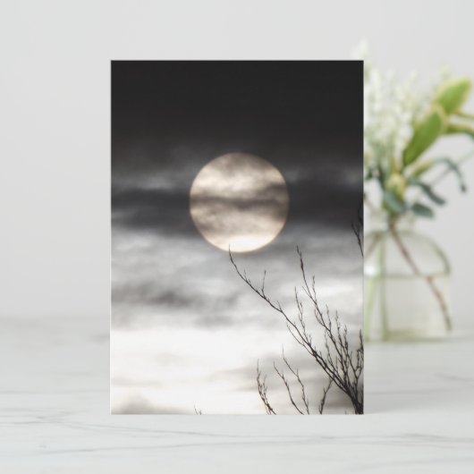 Invitation full moon (Debout devant)