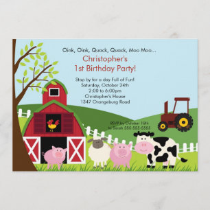 Invitation Fun Birthday Party