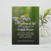 Invitation Funérailles modernes | Daisies Célébration de la v (Debout devant)