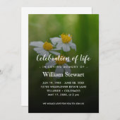 Invitation Funérailles modernes | Daisies Célébration de la v (Devant / Derrière)