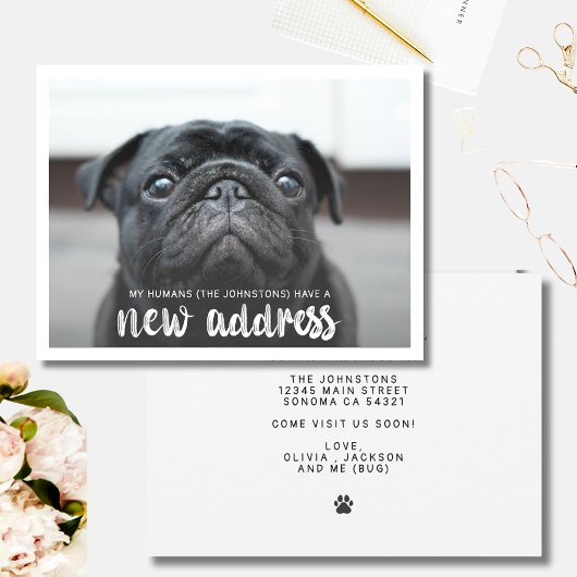 Invitation Funky Modern Nouvelle Adresse Animaux de compagnie