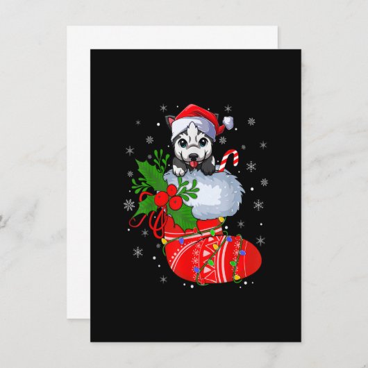 Invitation Funny Alaskan Malamute Chien Dans Chaussettes De N (Devant / Derrière)