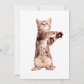 Invitation Funny debout chaton joueuse (Dos)