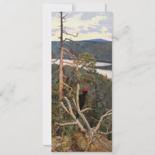 Invitation Gallen-Kallela - Grand pic noir 1894 (Devant)