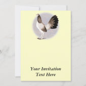 Invitation Gamecock : Hennie (Devant)