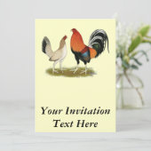 Invitation Gamefowl Wheatens (Debout devant)