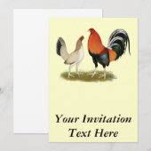 Invitation Gamefowl Wheatens (Devant / Derrière)