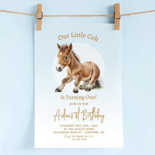 Invitation Garçons pour 1er anniversaire de cheval