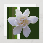 Invitation - Gardenia on Stripes (Devant / Derrière)