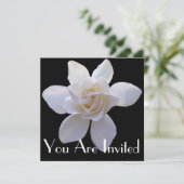 Invitation - Gardenia sur Black (Debout devant)