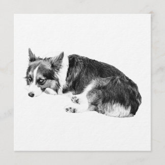 Invitation Gather Corgi, Cozy Night