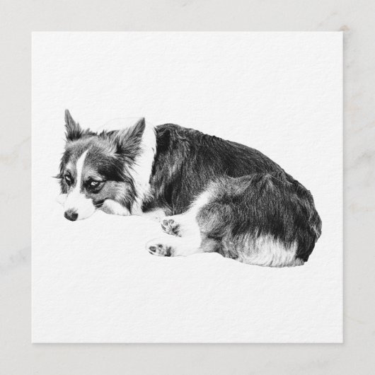 Invitation Gather Corgi, Cozy Night (Devant)