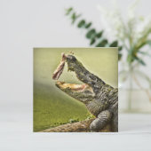 Invitation Gator Catching Lunch Wildlife Photography (Debout devant)