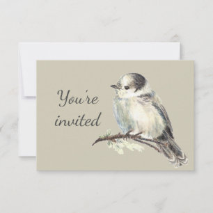 Invitation général Custom Grey Grey Jay L'oiseau d