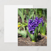 Invitation Géocinthe bleue au printemps     (Devant / Derrière)