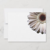 Invitation Gerber Daisy Mariage (Dos)