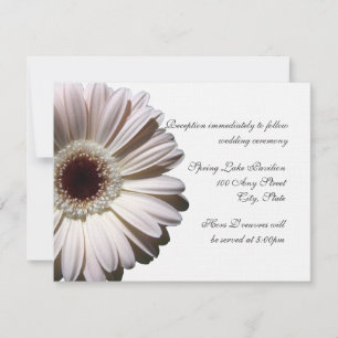 Invitation Gerber Daisy Mariage