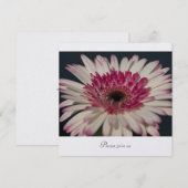 Invitation Gerbera (Devant / Derrière)