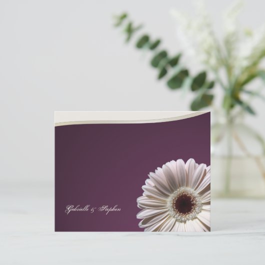 Invitation Gerbera Daisy/ Plum Fancy (Debout devant)