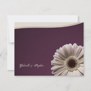 Invitation Gerbera Daisy/ Plum Fancy