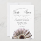Invitation Gerbera Daisy White Blush (Devant)