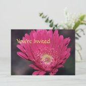 Invitation Gerbera en Fleurs (Debout devant)