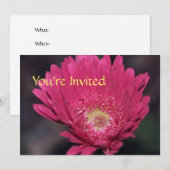 Invitation Gerbera en Fleurs (Devant / Derrière)