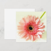 Invitation Gerbera marguerite (Devant / Derrière)