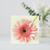 Invitation Gerbera marguerite (Debout devant)